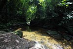 Rainforest creek in Gunung Leuser [sumatra_1084]
