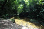 Rainforest creek in Gunung Leuser [sumatra_1085]