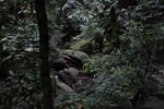 Boulders in Gunung Leuser [sumatra_1087]