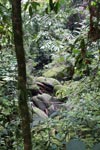 Boulders in Gunung Leuser [sumatra_1089]