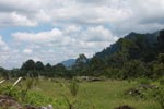 Oil palm plantation adjacent to Gunung Leuser National Park [sumatra_1125]