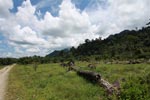 Oil palm plantation adjacent to Gunung Leuser National Park [sumatra_1142]