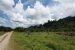 Oil palm plantation adjacent to Gunung Leuser National Park [sumatra_1146]