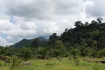 Oil palm plantation adjacent to Gunung Leuser National Park [sumatra_1151]