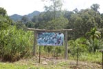 FFI's elephant garden in Tangkahan