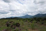 Oil palm plantation on former rainforest land [sumatra_1416]