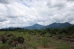 Oil palm plantation on former rainforest land [sumatra_1417]