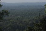 Oil palm plantation seen beyond the boundary of Gunung Leuser [sumatra_9060]