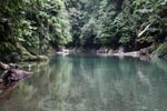 Deep rainforest pool on the Batang river [sumatra_9110]