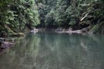 Deep rainforest pool on the Batang river