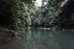 Deep rainforest pool on the Batang river [sumatra_9112]