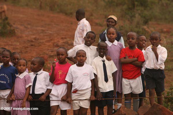 Escuela de los niños que han quedado huérfanos de visita elefante en el David Sheldrick Wildlife Trust
