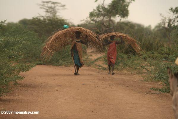 Turkana femmes transportant des matériaux de base pour leur ekol