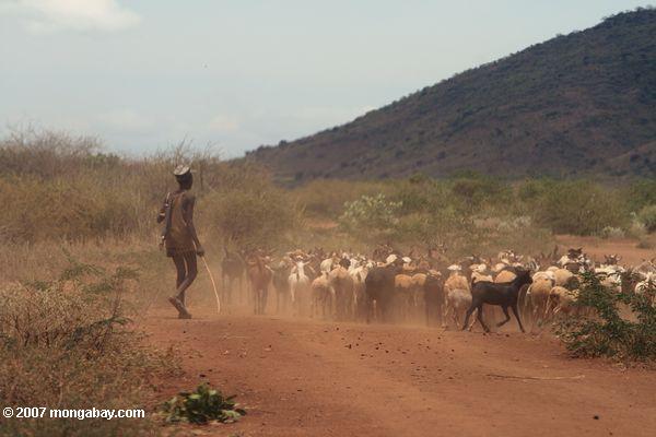 Turkana pastores de cabras -