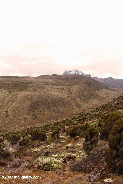 Naro Moru valle conduce a la Mt. Kenya