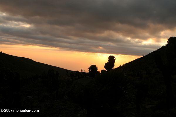 Sonnenuntergang auf dem Berg. Kenia, von dem aus man MacKinder Hütte