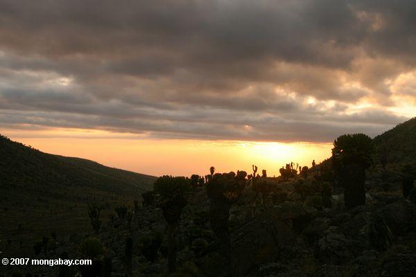 Sunset sur Mt. Kenya, vu de MacKinder cabane de