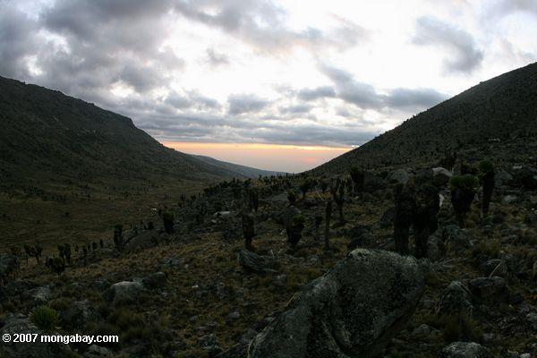 Puesta de sol en Mt. Kenya, visto desde MacKinder la choza