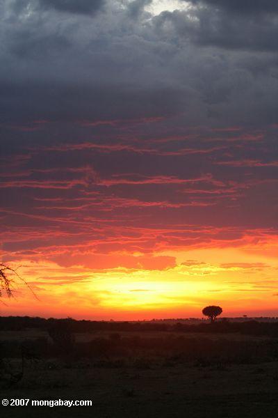 Кенийские красный закат