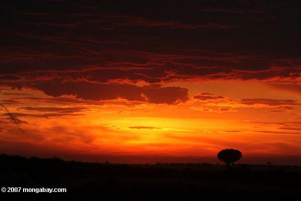 красный закат в Кении