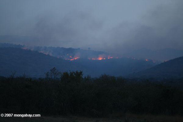 bushfiresケニヤで燃焼