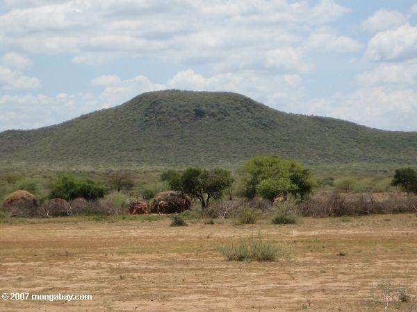 Grass cabañas pertenecientes a la Turkana