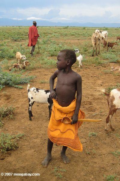 Turkana chico