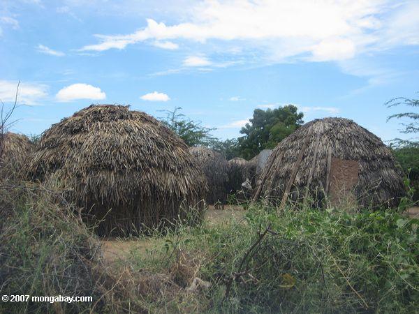 Turkana herbe huttes