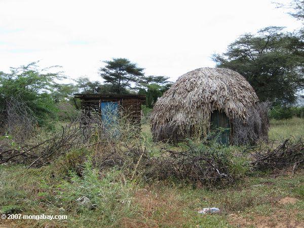 Turkana hierba akai
