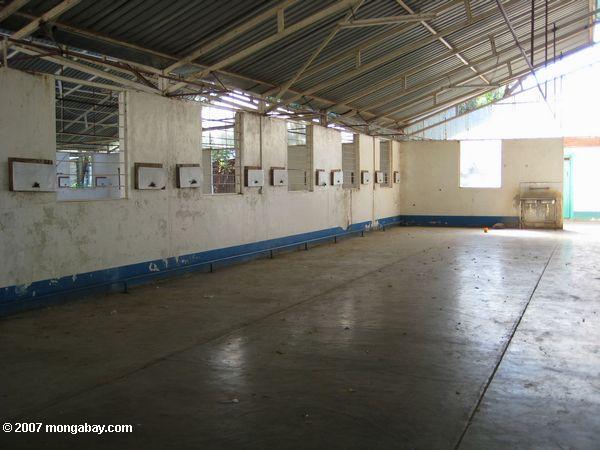 病院lokichoggioで一度に使用されるスーダン難民で空の病棟