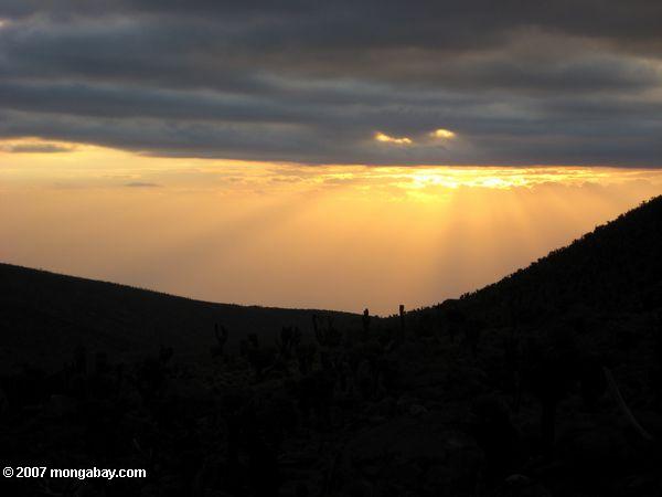 Закат видели с горы Кения