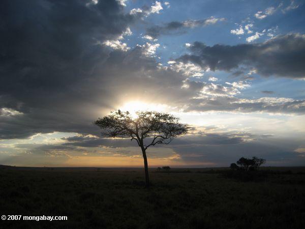 масаи Мара закат