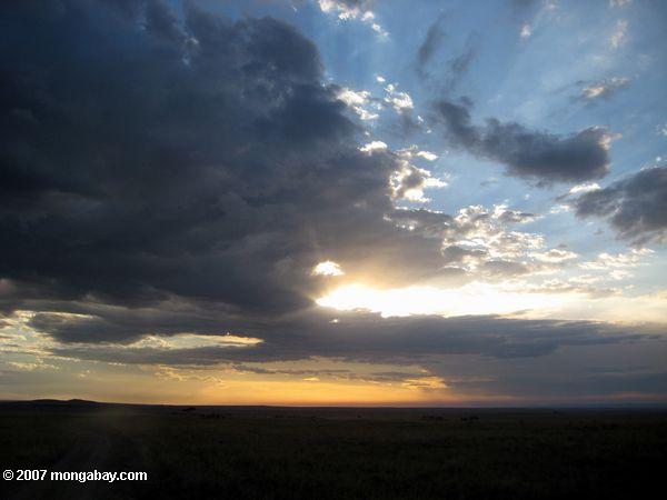 Masai Mara Sonnenuntergang