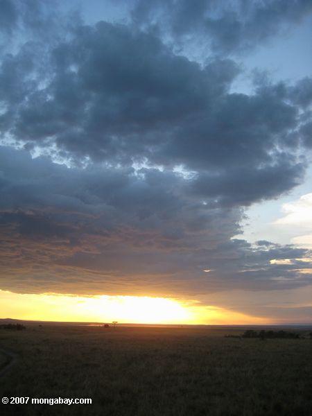 Maasai Mara coucher du soleil