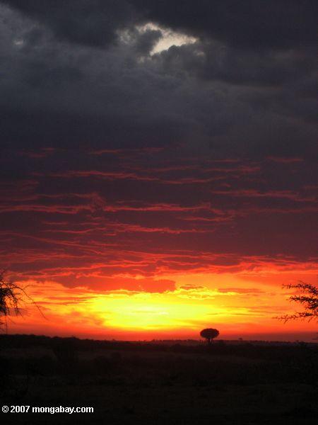 красный закат масаи Мара