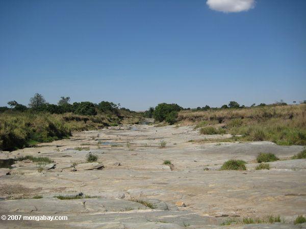Rocky lecho del río en el Maasai Mara