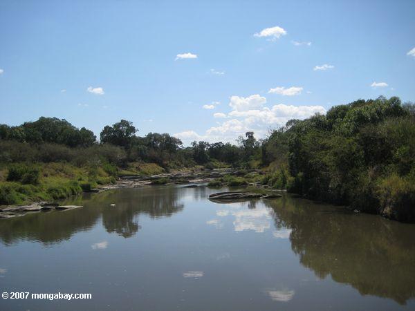 River no Maasai Mara
