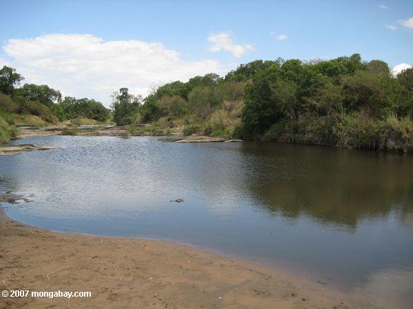 Rivière dans la Maasai Mara