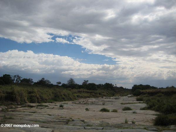 Rocky Flussbett in der Masai Mara