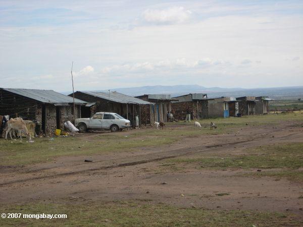 Nouvelle Maasai huttes sont construits avec corregated métal au lieu de l'herbe