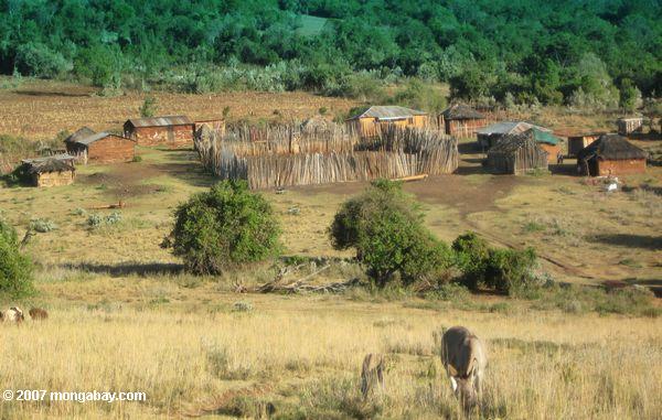 Loita - Purko (Maasai) de village à la base de la Loita Hills
