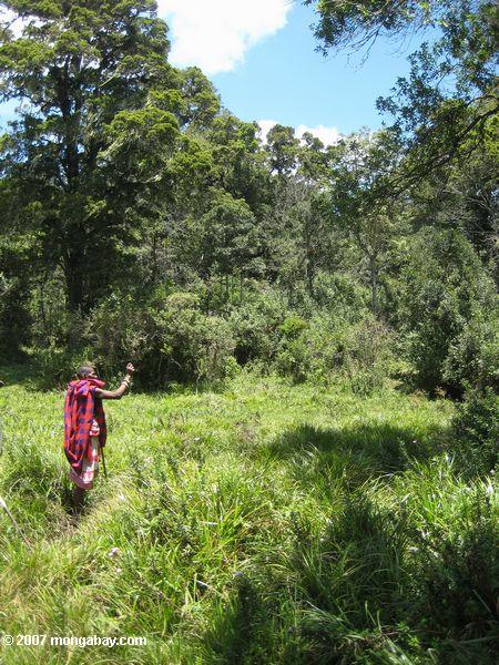 Purko guide de pionnier dans la forêt des collines Loita