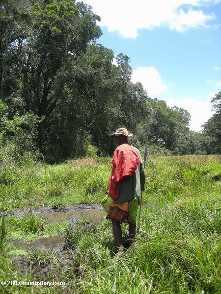 Purko ältere führt eine Wanderung in den Loita Hügel Wald
