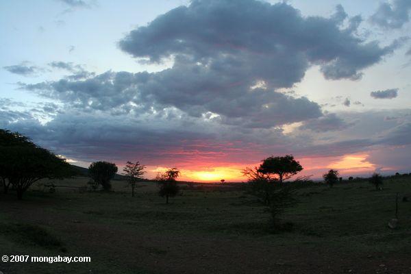 Sonnenuntergang in der Mara