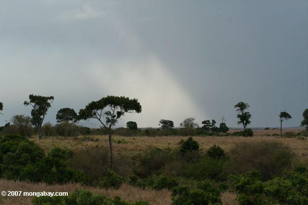 масаи Мара пейзаж