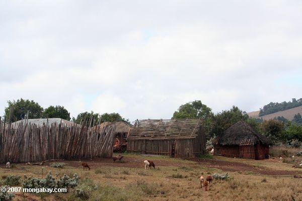 loita-purko (масаи) село на базе loita холмы