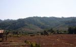 Dry rice fields in Bokeo District