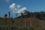 Deforestation in Lao