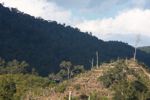 Forest clearing in Laos