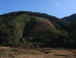 Deforestation for a tree plantation in Laos